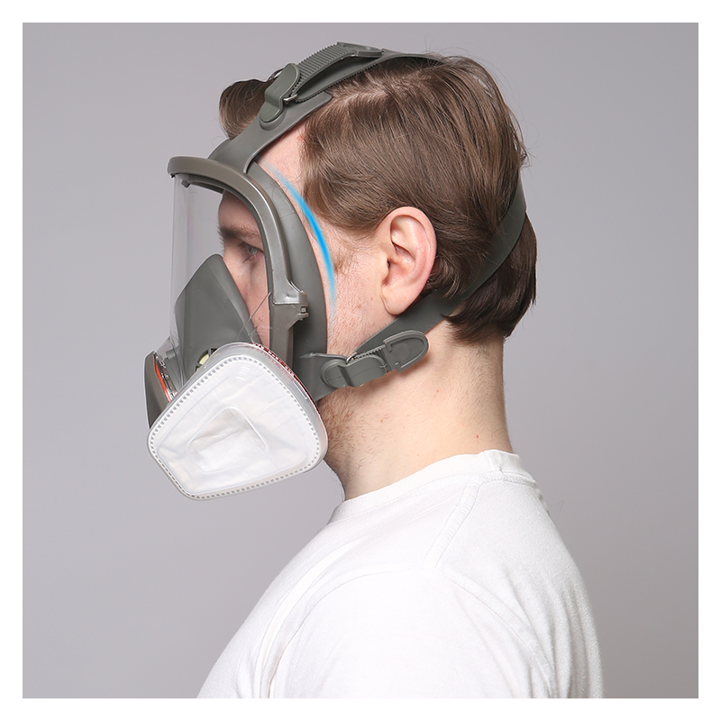 6800 Respiratore a gas a pieno - Dust Mask Construction recensione e prezzo